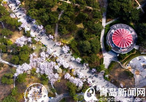 中山公园最新爆料,揭秘公园历史变迁与未来规划 第3张 中山公园最新爆料,揭秘公园历史变迁与未来规划 第3张